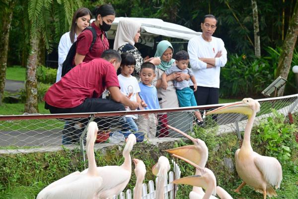 Akhir Pekan Bersama Keluarga, Presiden Jokowi Ajak Cucu Wisata Pengenalan Satwa