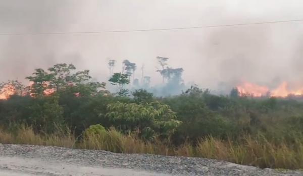 15 Hektare Lahan di Bunguran Selatan Hangus Terbakar
