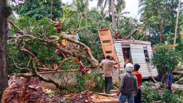 Cuaca Ekstrem, Satu Rumah di Karimun Rusak Dihantam Pohon Tumbang