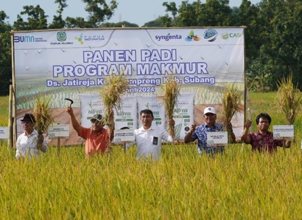 Program Makmur Pupuk Kujang, Berhasil Tingkatkan Hasil Panen Padi Petani di Subang