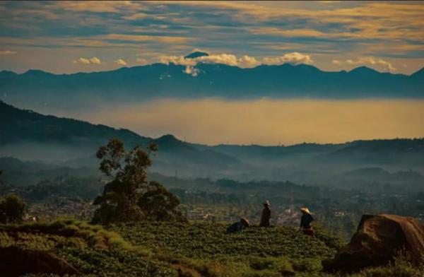 Akhir Pekan, 3 Desa Wisata di Bandung Ini Bisa Jadi Pilihan Liburan Bareng Keluarga