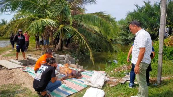 Mayat Pria Tanpa Identitas Ditemukan Tewas Mengapung di Sungai Palo Ibus, Tak Ada Tanda Kekerasan