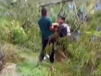 Angin Kencang, Pedagang di Area Wisata Air Terjun Nglirip Tuban Tertimpa Pohon Tumbang