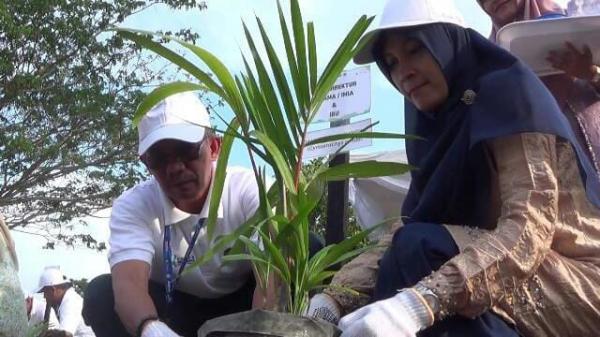 Peringati HUT PT Pupuk Indonesia Yang Ke-12 Tahun, PT PIM Tanam 750 Pohon