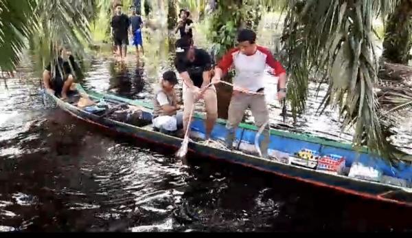 Buaya yang Gigit Warga Desa Terantang Berhasil Ditangkap Petugas BKSDA Kalteng