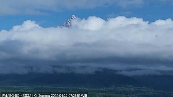 Gunung Semeru Erupsi, Tinggi Letusan dari Atas Puncak Mencapai  700 Meter
