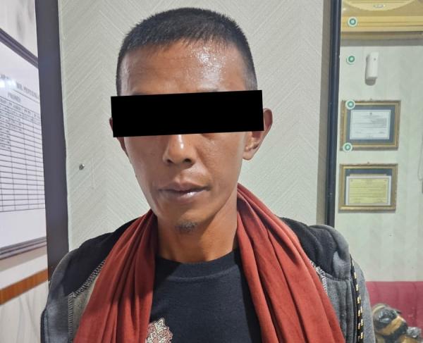 Polda Aceh Berhasil Ungkap Kasus Narkotika, 300 Kg Ganja Siap Edar Diamankan