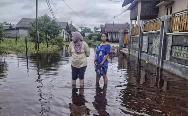 Ribuan Warga Kobar Terdampak Banjir Akibat Air Sungai Lamandau dan Arut Meluap