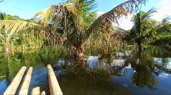 Genangan Air di Desa Bendungan Terus Meluas, Dampak Pembangunan Tol Serpan