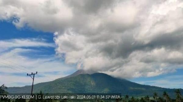 Semburkan Abu Vulkanik Putih Kelabu 200 Meter Gunung Lewotobi di Flores Timur Kembali Erupsi