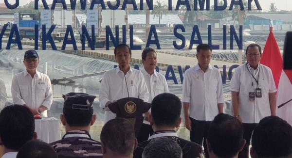 Presiden Jokowi Resmikan Kawasan Tambak Budidaya Ikan Nila Salin di Karawang