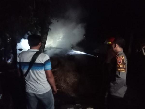 Satu Ekor Sapi Mati Terpanggang Saat Kandang di Pulokulon Terbakar Gegara Api Bediang