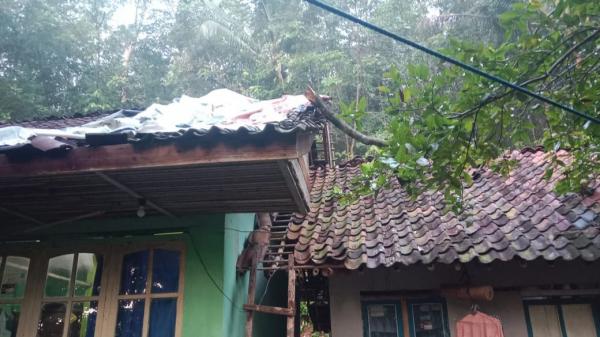Pohon Petai Tumbang Timpa Rumah Warga di Ciamis, Atap Rumah Hancur