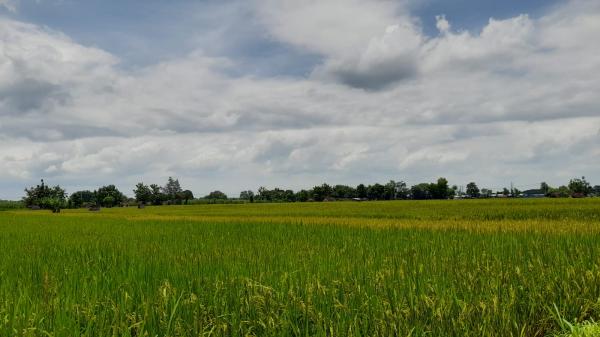 Prakiraan Cuaca untuk Wilayah Ciamis dan Sekitarnya Hari Ini, Senin 13 Mei 2024