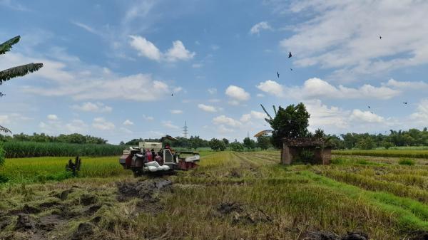 Prakiraan Cuaca Hari Ini untuk Wilayah Ciamis dan Sekitarnya, Selasa 14 Mei 2024