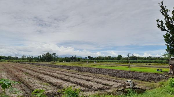 Prakiraan Cuaca Hari Ini untuk Wilayah Tasikmalaya dan Sekitarnya, Selasa 14 Mei 2024