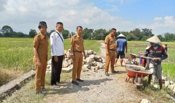 Pemerintah Pekon Bulukarto Bangun Talut Penahan Tanah untuk Antisipasi Banjir