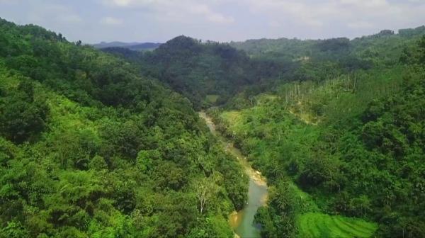 Hutan Sengsengan Surga Tersembunyi di Culamega Diproyeksi Jadi Icon Wisata Baru di Tasikmalaya