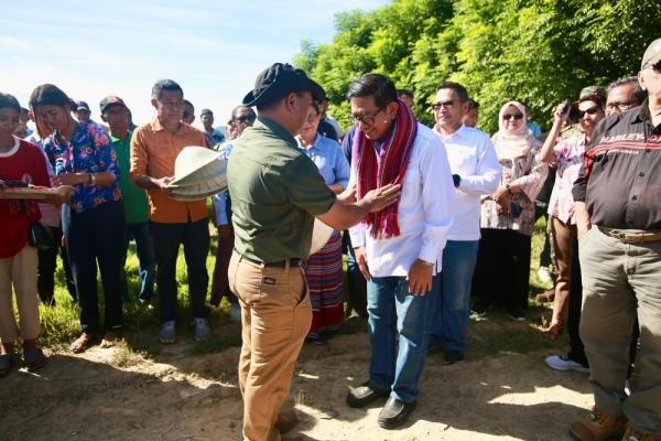 Dukung Perkembangan Pangan Dunia, Petrokimia Gresik Tingkatkan Produktivitas Padi di Timor Leste