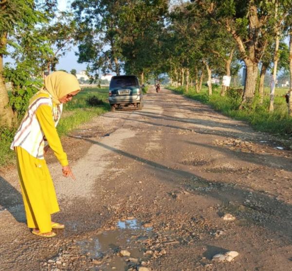 Calon Wakil Bupati Pringsewu, Nurul Hidayah, Terus Gencar Sosialisasi dan Tinjau Infrastruktur Jalan