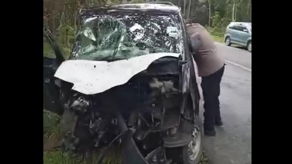 Viral Video Grandmax Adu Banteng di Bukit Soeharto, Satu Orang Tewas Terjepit Bodi Mobil