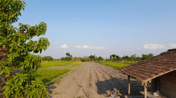 Prakiraan Cuaca Hari Ini untuk Wilayah Tasikmalaya dan Sekitarnya, Sabtu 18 Mei 2024