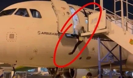 Viral Petugas Bandara Jatuh dari Pesawat Mendarat usai Pengecekan Penumpang, Begini Kondisinya