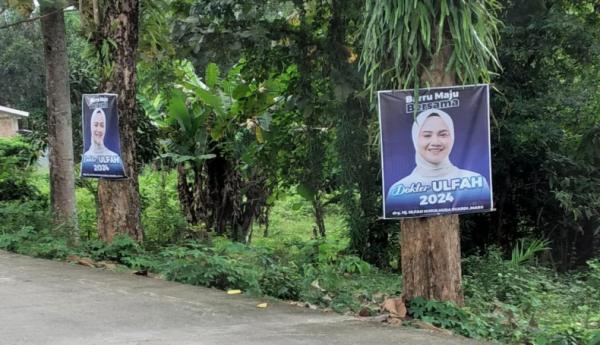 Sejumlah APK Jelang Pilkada Barru Langgar Perbup, DLH: Sudah ada Surat Edaran