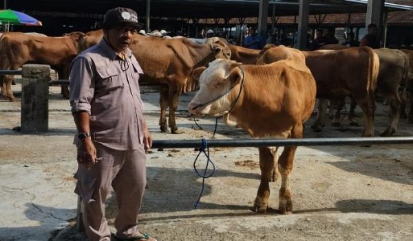 Jelang Iduladha, Kesehatan Hewan Kurban di Sumedang Mulai Diperiksa