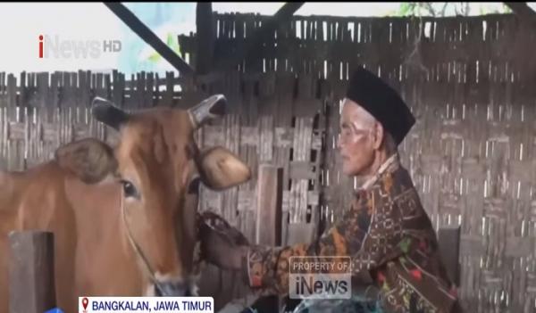 Berprofesi sebagai Pengembala Sapi, Kakek Muhtaram Akhirnya Bisa Pergi Haji Tahun Ini