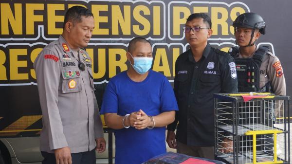 Burung Junaidi dan Nur Digondol Residivis: Butuh Uang Karena Tak Kerja!