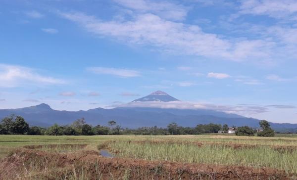Kabar Gunung Slamet Hari Ini, Warga di Kawasan Lereng Pegunungan: Insya Allah Baik-Baik Saja