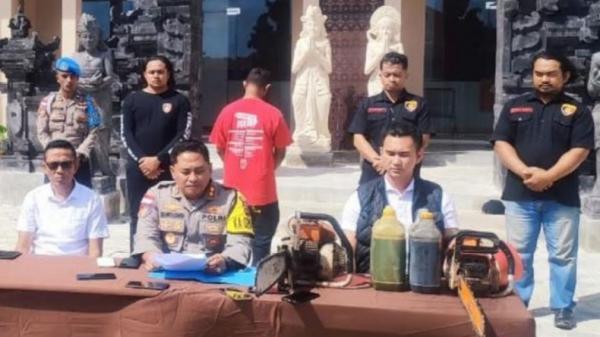 Astaga, Potong Pohon di Hutan Lindung, Pria di NTT Ditangkap Aparat Polisi