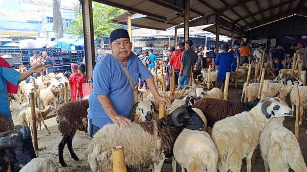 Jelang Idul Adha Pasar Hewan Cianjur Kembali Menggeliat