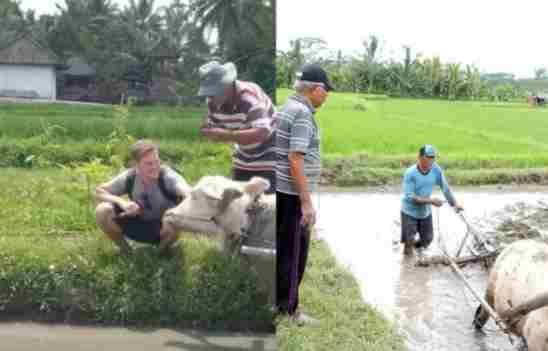 Melongok Desa Wisata Pangsan Badung Bali