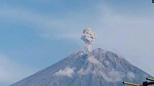 Gunung Semeru Erupsi, Tinggi Abu Vulkanik Capai 700 Meter