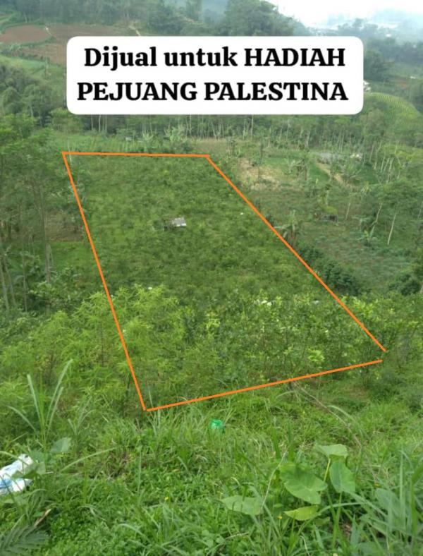 Bantu Palestina, Warga Banjarnegara Jual Tanah Seluas 5.000 Meter