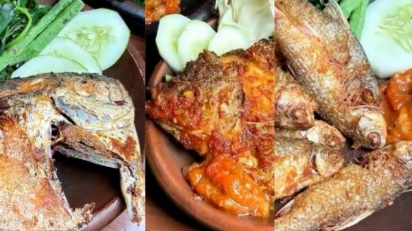 Mencicipi Kelezatan Kuliner Aneka Ikan Segar di Ponorogo, Ini Lokasi dan Harganya