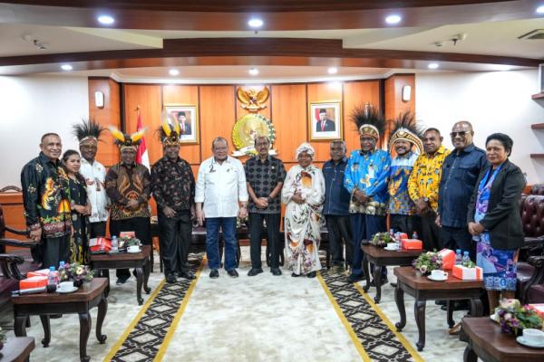 Datangi DPD RI, Asosiasi MRP Minta Dukungan Proteksi Hak Politik Orang Asli Papua
