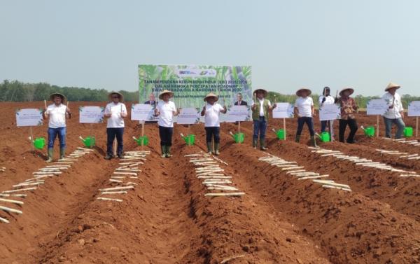 PTPN I Regional 2 Tanam Benih Tebu di Subang, Optimis Swasembada Gula di Tahun 2030