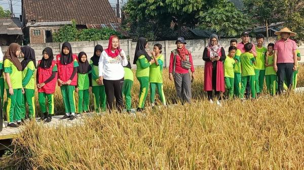 Wali Kota Semarang Hadiri Panen Padi Organik di Tambangan Mijen