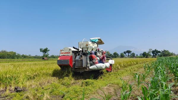 Prakiraan Cuaca Hari Ini untuk Wilayah Ciamis dan Sekitarnya, Senin 3 Juni 2024