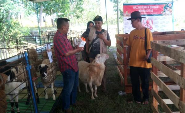 Idul Adha Makin Dekat, Peternak Milenial Sukoharjo Gelar Bazar Kambing Kurban