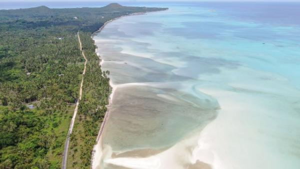 Mangrove Jadi Simbol Kedaulatan Negara di Natuna