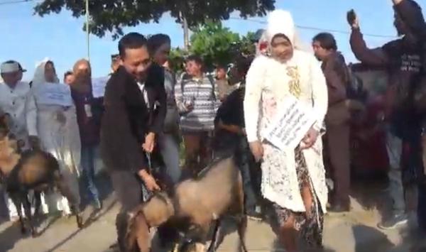 Pertama di Indonesia, 4 Pasang Pengantin Nikah Bareng dengan Mahar Kepala Kambing