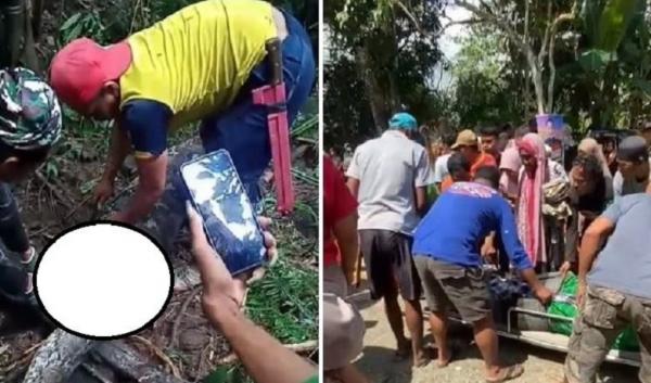 Sidrap Gempar! Piton Raksasa Telan Nenek Farida, Tubuh Korban Ditemukan dalam Perut Ular 