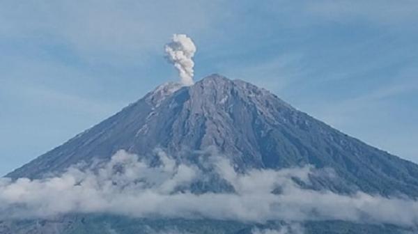 Erupsi Gunung Semeru Hari Ini, Lontarkan Abu Setinggi 600 Meter