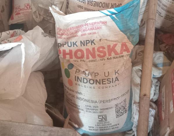 Petani Rawamerta Keluhkan Distribusi Pupuk Subsidi Sering Telat Hingga Bikin Hasil Panen Menurun