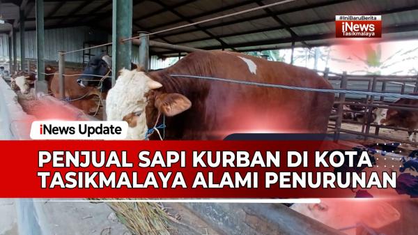 VIDEO: Penjual Sapi Kurban di Kota Tasikmalaya Akui Alami Penurunan Jelang Idul Adha 1445 H