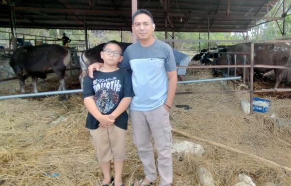 Permintaan sapi dari NTT, meningkat jelang Idul Adha